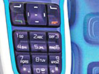 : Nokia 3220   !